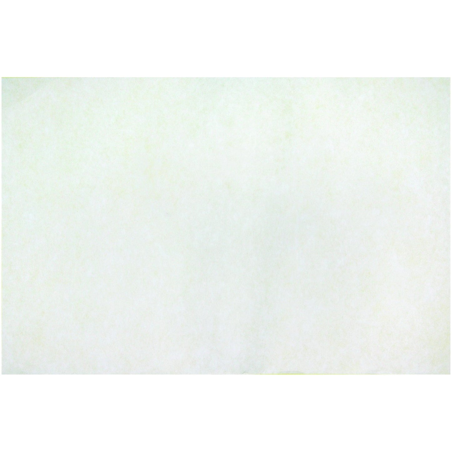 Roylco White Color Diffusing Paper - 12 x 18 inches #R15212, Pack of 50