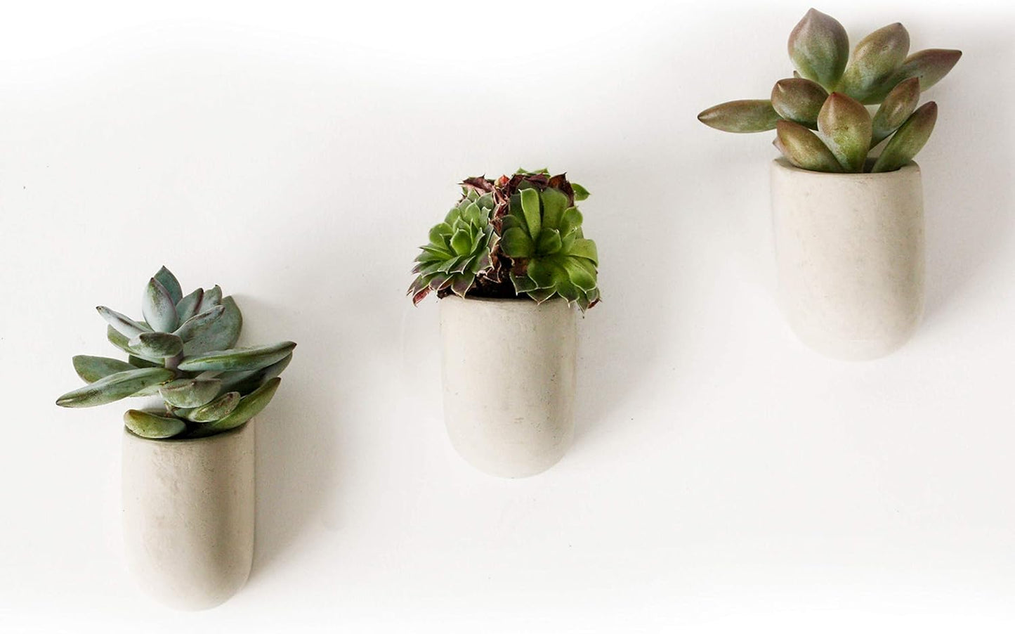 Gift Republic - Set of 3 Magnetic Plant Pots #GR450067