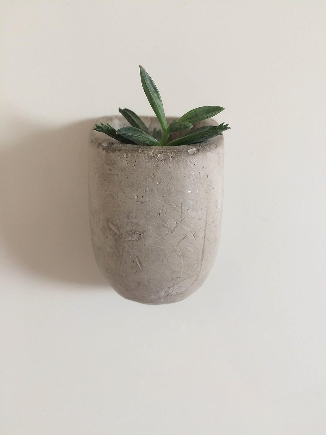 Gift Republic - Set of 3 Magnetic Plant Pots #GR450067
