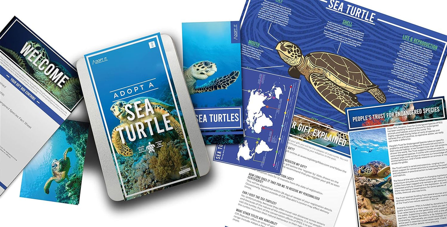 Gift Republic Adopt a Sea Turtle #GR100023
