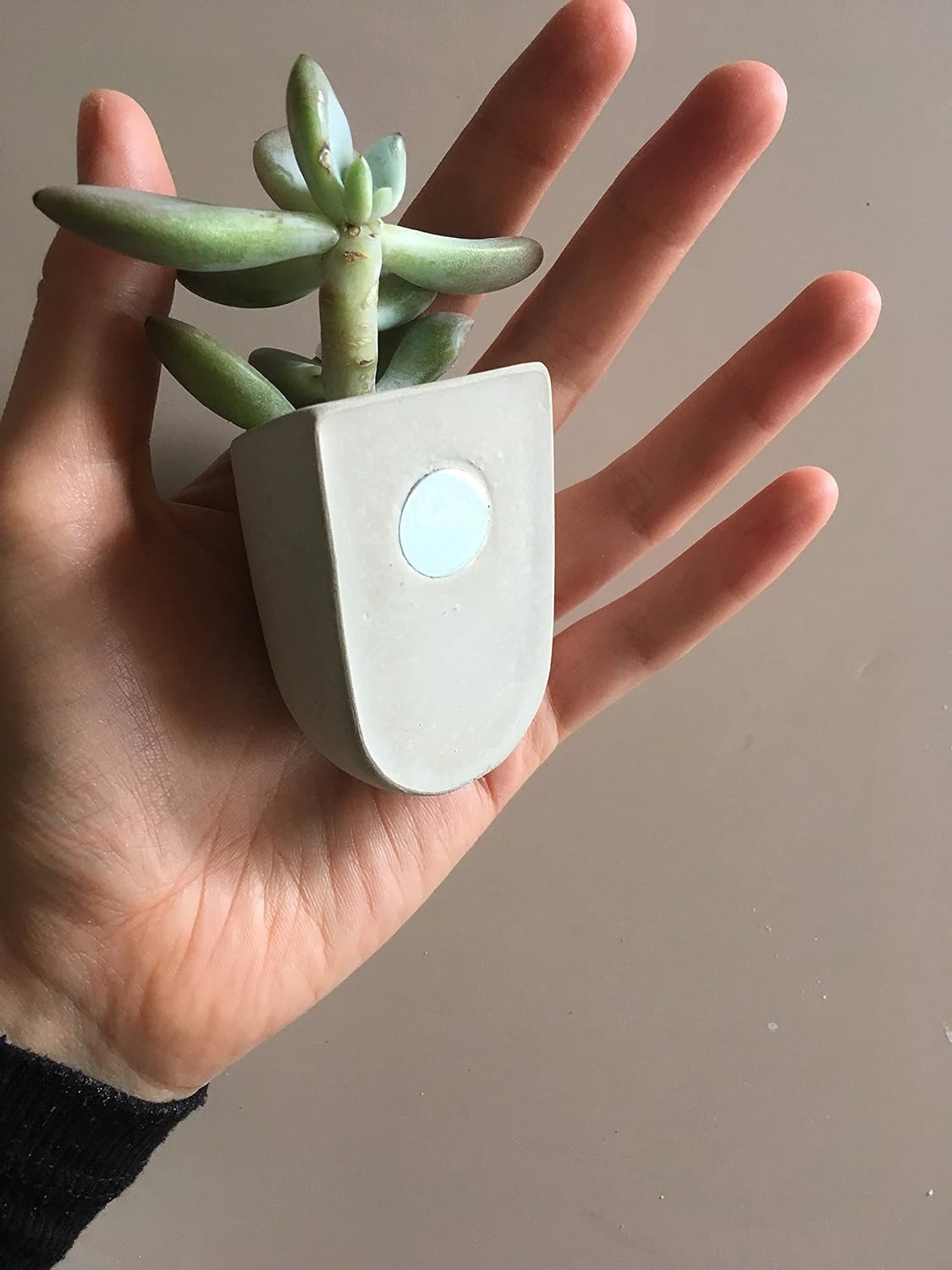 Gift Republic - Set of 3 Magnetic Plant Pots #GR450067
