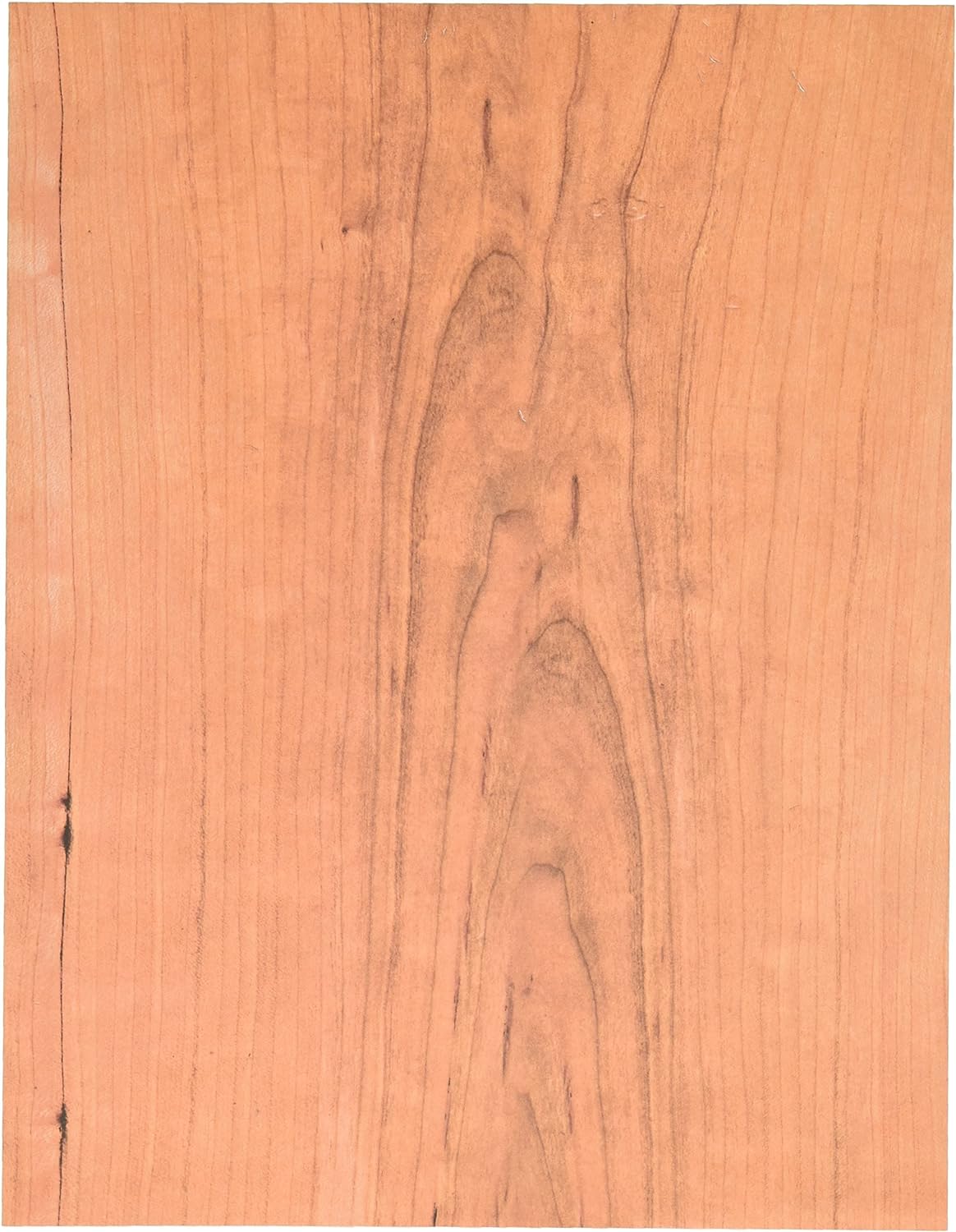 Roylco Terrific Tree Craft Paper #R15294, Pack of 32