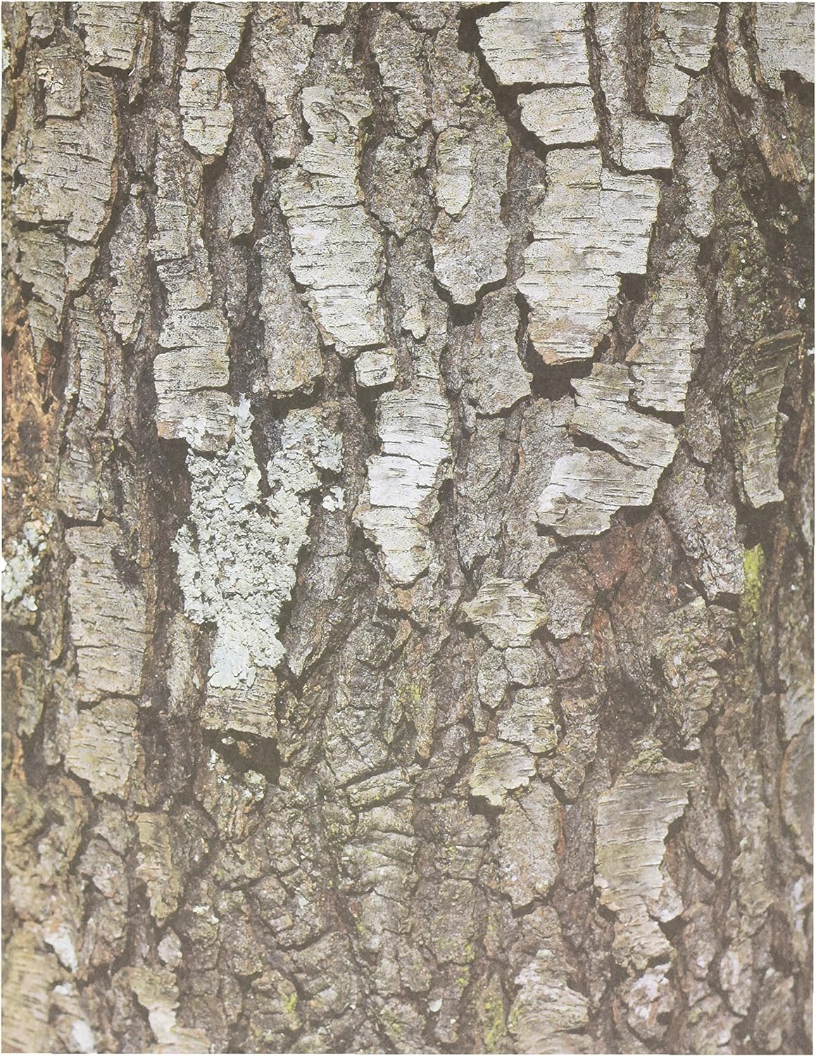 Roylco Terrific Tree Craft Paper #R15294, Pack of 32
