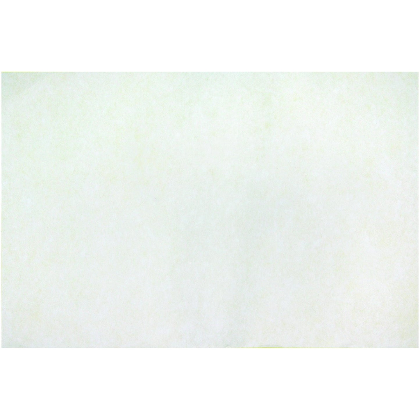 Roylco White Color Diffusing Paper - 12 x 18 inches #R15212, Pack of 50