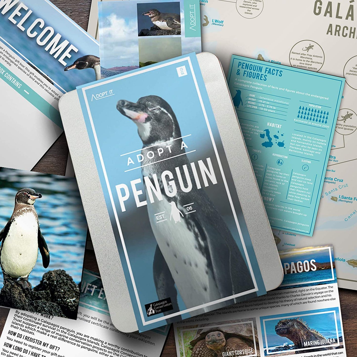 Gift Republic Penguin Adopt It - Charity Animal Adoption Tin #GR100026